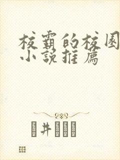 校霸的校园甜宠小说推荐