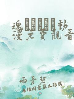 魂インサート动漫免费观看第一季