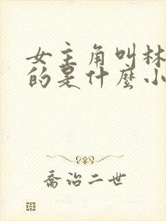 女主角叫林知夏的是什么小说