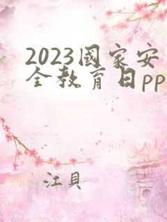2023国家安全教育日ppt中小学