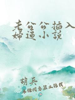 老公公插入儿媳妇逼小说