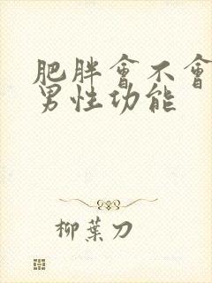 肥胖会不会影响男性功能