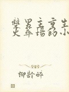 双男主重生追夫火葬场的小说