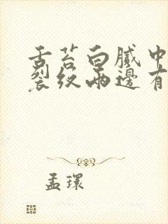 舌苔白腻中间有裂纹两边有齿痕