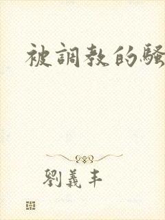 被调教的骚母狗