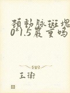 颈动脉斑块3.0*1.5严重吗