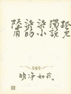 陆柒柒独孤正主角的小说免费阅读