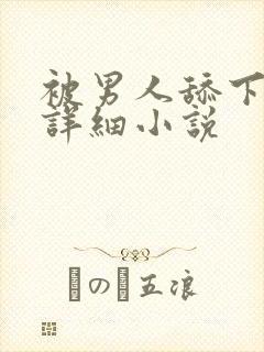 被男人舔下面的详细小说