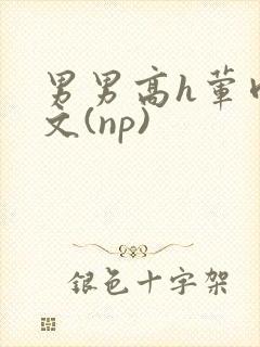 男男高h荤肉欲文(np)