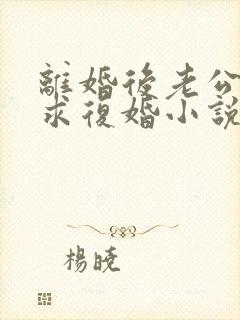 离婚后老公总是求复婚小说免费阅读