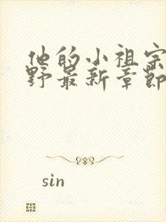 他的小祖宗甜又野最新章节txt