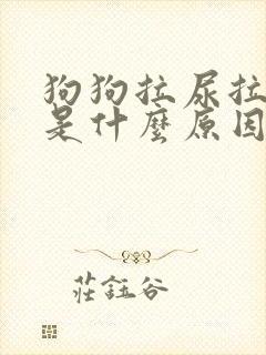 狗狗拉尿拉出血是什么原因