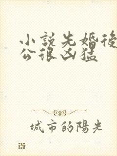 小说先婚后爱老公很凶猛