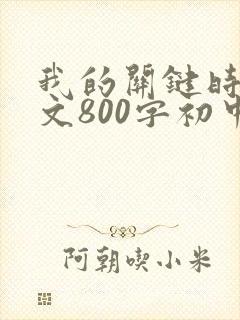 我的关键时刻作文800字初中