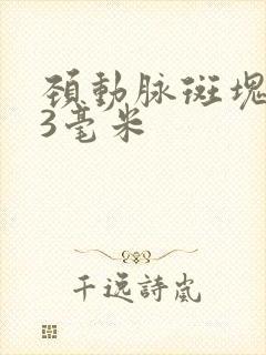 颈动脉斑块1.3毫米