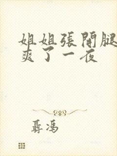 姐姐张开腿让我爽了一夜