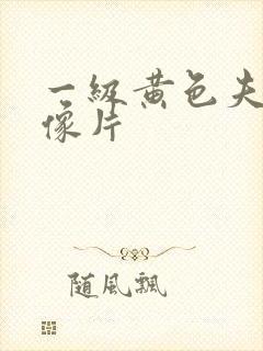 一级黄色夫妻录像片