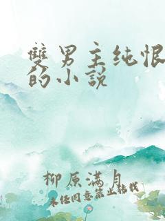 双男主纯恨囚禁的小说