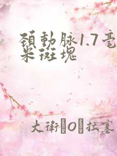 颈动脉1.7毫米斑块