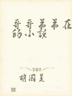 哥哥弟弟在一起的小说