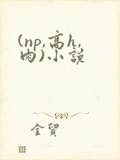 (np,高h,肉)小说