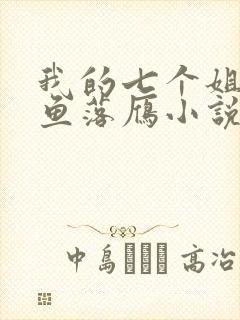 我的七个姐姐沉鱼落雁小说免费阅读