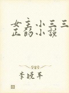 女主小三三观不正的小说