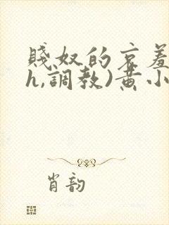 贱奴的哀羞(高h,调教)黄小洁小说