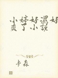 小婷好湿好紧太爽了小说