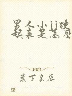 男人小jj硬不起来是怎么回事