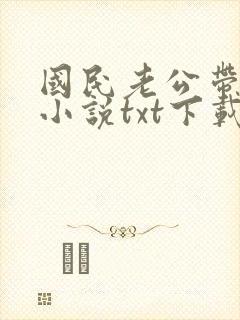 国民老公带回家小说txt下载