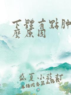 下体有点肿是什么原因