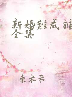 新婚难成谁之错全集