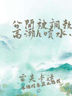 公开被调教当众高潮h喷水小说