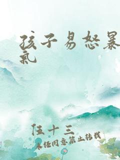 孩子易怒暴躁脾气