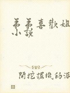 弟弟喜欢姐姐的小说