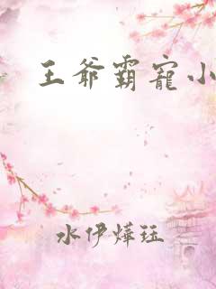 王爷霸宠小甜妻