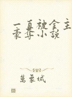 一直被金主强取豪夺小说