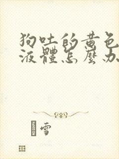 狗吐的黄色粘稠液体怎么办