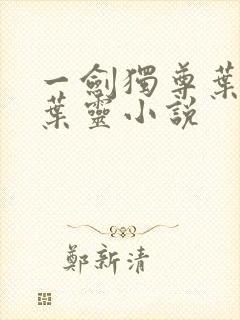 一剑独尊叶玄,叶灵小说