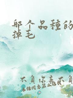 哪个品种的猫不掉毛