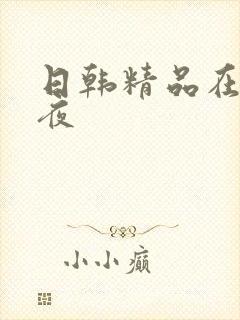 日韩精品在线午夜