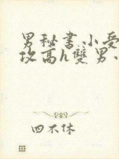 男秘书小受引诱攻高h双男小说