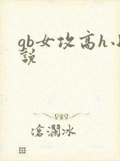 gb女攻高h小说