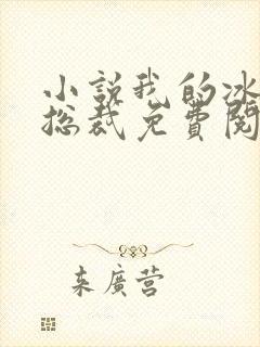 小说我的冰山女总裁免费阅读