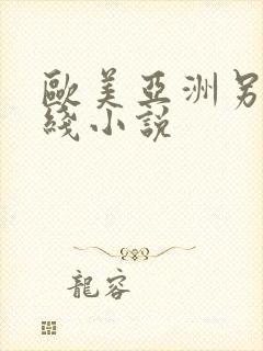 欧美亚洲另类在线小说