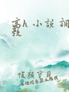 高h 小说 调教