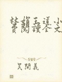 林娟王道小说免费阅读全文