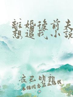 离婚后前夫总是想追我小说免费阅读