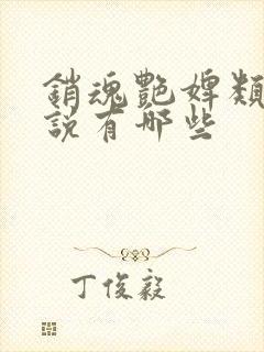 销魂艳婢类似小说有哪些